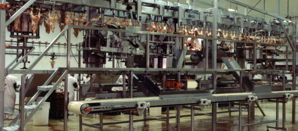 Poultry Industry Conveyors